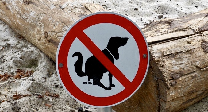 Verbotsschild für Hundekot am Strand.