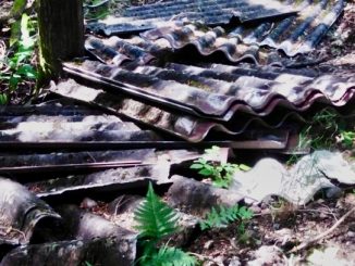 Alte Dachziegel stapeln sich im Wald